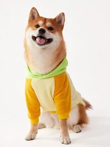 PETSIN 1 pièce sweat-shirt à capuche décontracté pour chien de compagnie avec design blocs de couleurs, jaune clair, jaune terre, vert fluorescent