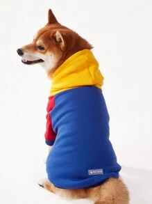 1 件 PETSIN 宠物狗拼色插肩袖休闲连帽衫