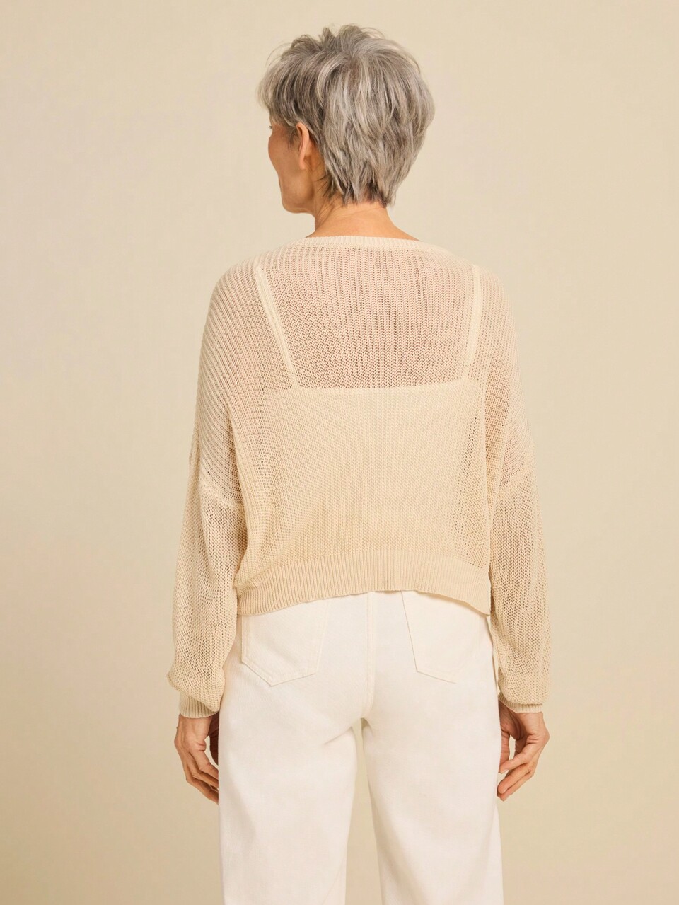 Women's Solid Color Crew Neck Long Sleeve Minimalist Sheer Casual Sweater