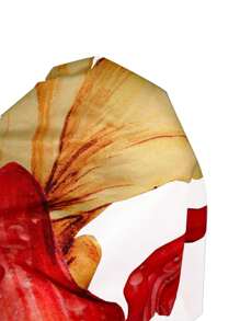 Chiquease 女士休闲度假露肩紧身花卉印花夏季连衣裙