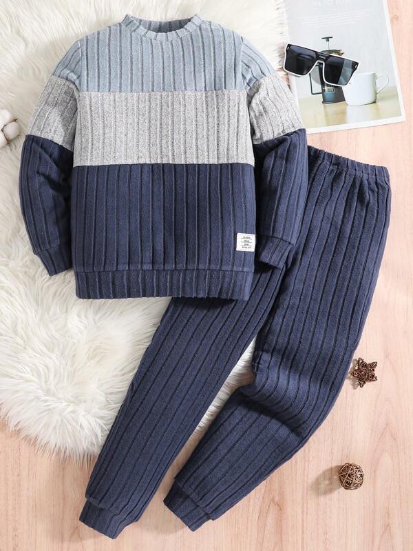 SHEIN Tween Boy Color Block Letter Patched Detail Pullover & Sweatpants Chic Outfits For Autumn/Winter