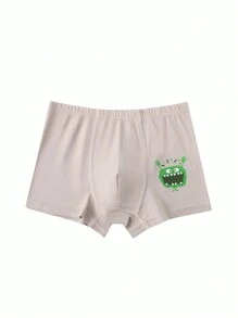 5 Pack Young Boy Simple Solid & Printed Combination Fashion Boxer Briefs - Multicolor - View 4