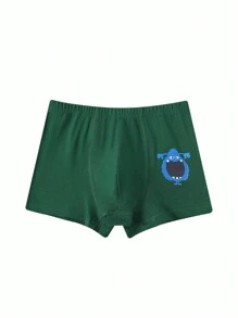 5 Pack Young Boy Simple Solid & Printed Combination Fashion Boxer Briefs - Multicolor - View 3