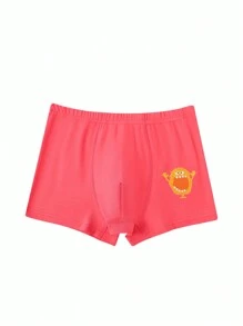 5 Pack Young Boy Simple Solid & Printed Combination Fashion Boxer Briefs - Multicolor - View 5