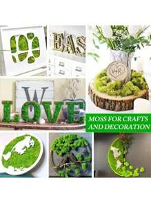 SHEIN 1 pièce 100g Mousse artificielle convenant à la décoration de la maison, aux arrangements de paysages miniatures, aux miniatures de pelouse, aux plantes en pot et à la décoration paysagère pour la Saint-Valentin, les mariages de la Saint-Valentin et les anniversaires