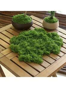 SHEIN 1 pièce 100g Mousse artificielle convenant à la décoration de la maison, aux arrangements de paysages miniatures, aux miniatures de pelouse, aux plantes en pot et à la décoration paysagère pour la Saint-Valentin, les mariages de la Saint-Valentin et les anniversaires