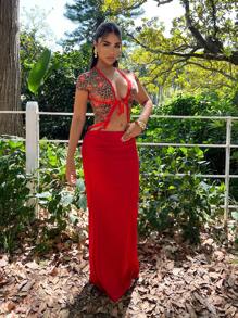 SHEIN SXY 女士豹纹樱桃印花蕾丝拼接镂空性感T恤，度假风，夏季女装，沙滩装，外出上衣，Y2K风格，外出上衣 - 彩色 - 查看 5