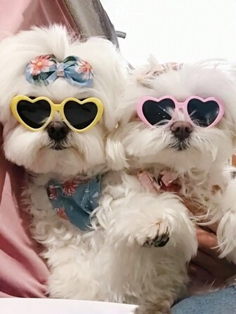 PETSIN Valentinstag Haustier Herz-förmige Brille - Lustiges Fotorequisit für Hunde und Katzen, süßes Accessoire für pelzige Freunde