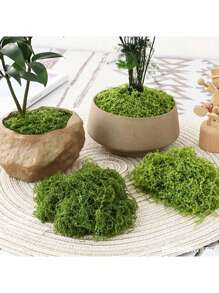 SHEIN 1 pièce 100g Mousse artificielle convenant à la décoration de la maison, aux arrangements de paysages miniatures, aux miniatures de pelouse, aux plantes en pot et à la décoration paysagère pour la Saint-Valentin, les mariages de la Saint-Valentin et les anniversaires