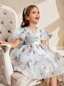 年轻女孩欧根纱刺绣连衣裙，圆领泡泡袖，适合派对、聚会、节日，优雅且适合春夏季 - 彩色 - 查看 6