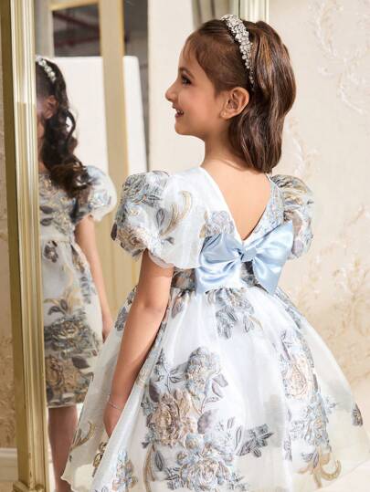 SHEIN Vestido de organza bordado para niñas pequeñas, con cuello redondo y mangas abullonadas, adecuado para fiestas, reuniones, vacaciones, elegante y apto para primavera y verano