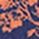 Multicolor