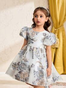 年轻女孩欧根纱刺绣连衣裙，圆领泡泡袖，适合派对、聚会、节日，优雅且适合春夏季 - 彩色 - 查看 3