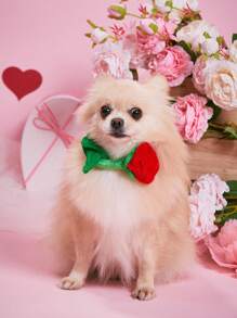 PETSIN 1/2pcs Valentine's Red Rose Photography Props, Artificial Flowers, Creative Bouquet Decor, Suitable For Cat/Dog Lover Gift And Dog/Cat Mom Love Pet Wedding, Daily Use, Commemorative Gift!
