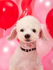 PETSIN 1 件情人节宠物蝴蝶结项圈，适合猫和小型犬 - 黑色 - 查看 2