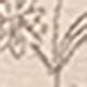 彩色
