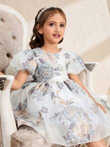 年轻女孩欧根纱刺绣连衣裙，圆领泡泡袖，适合派对、聚会、节日，优雅且适合春夏季 - 彩色 - 查看 5