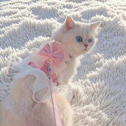 1 Áo liền quần cho thú cưng bằng vải polyester và ren màu hồng + Dây đeo có khóa điều chỉnh, Đồ đi dạo cho chó mèo cỡ nhỏ, cỡ trung, Áo liền quần thời trang cho chó con và mèo con