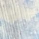 Gris Claro