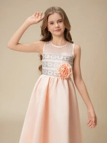 Girls Round Neck Sleeveless Mesh Lace Patchwork Floral Decor A-Line Party Dress, Wedding & Formal Occasion - Pink - View 6