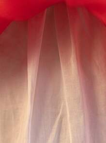 Glamorique Kids Princess Tulle Dress, Valentine's Day Satin Red Heart Print, Baby Girl Puffy Tulle Dress, Party/Festival Gown With Red Ribbon Bow, Cute Everyday Dress, All Season - White - View 4