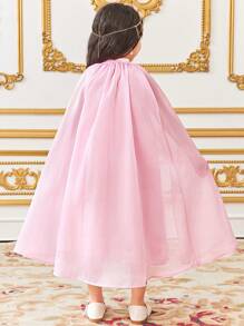 SHEIN 2pcs Set: Colorful Floral Embroidered Mesh Frill A-Line Collar Tank Dress & Organza Shawl Jacket, Elegant Casual For Young Girls