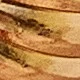 Amarillo Oro