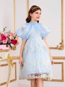 Tween Girl Embroidered Luxurious Elegant Dress, Magnificent High-End Glamour Party Gown
