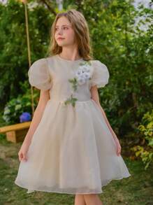 SHEIN Tween Girl 优雅休闲百搭泡泡袖中长连衣裙，欧根纱花卉饰边，适合外出、聚会、春季、夏季、秋季、特殊场合 - 杏色 - 查看 8