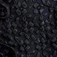 الأسود