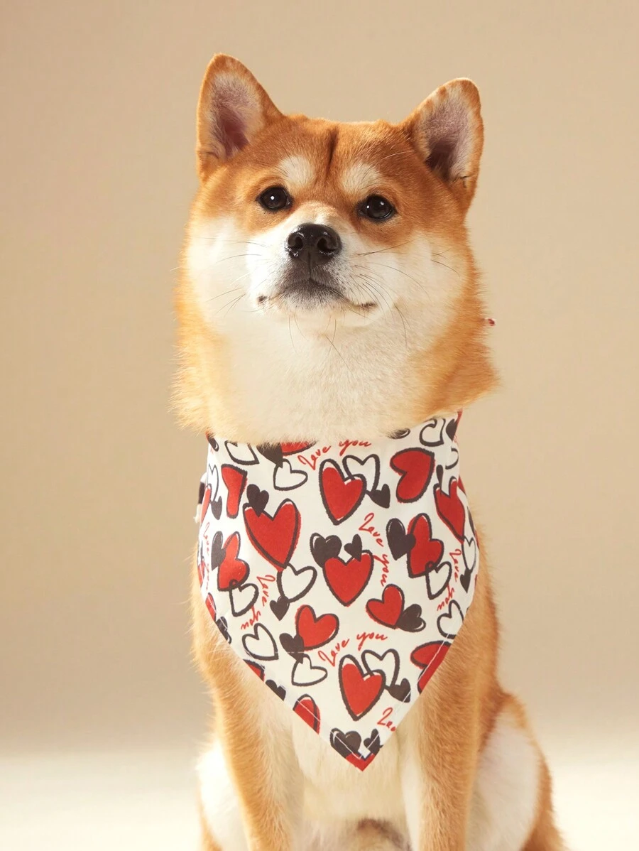 PETSIN 1 pieza Babero universal para mascotas (gatos y perros) del Día de San Valentín, con diseño de corazones y letras, pañuelo moderno para perros