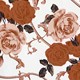 Rust Brown