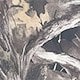 متعدد الألوان