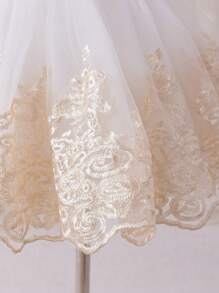 Glamorique Kids 4 Season Baby Girl 1 Year Old Christening Gown, Embroidered Party Ball Gown Dress With 3D Bow Back, Princess Formal Dress - Champagne - View 7