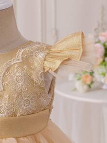 Glamorique Kids Baby Girl Elegant Lace Contrast Mesh Tulle Dress - Champagne - View 3