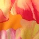 متعدد الألوان