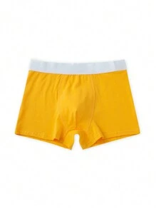 5pcs/Pack Teenage Boys' Minimalist Comfortable Solid Color Underwear Briefs, Spring/Summer