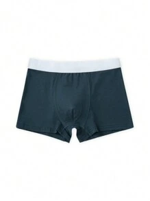 5pcs/Pack Teenage Boys' Minimalist Comfortable Solid Color Underwear Briefs, Spring/Summer