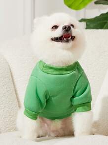 PETSIN 1 Pc Pet Dog/Cat Universal Green "Lucky Girl" Print Casual Round Neck Sweatshirt - Multicolor - View 4