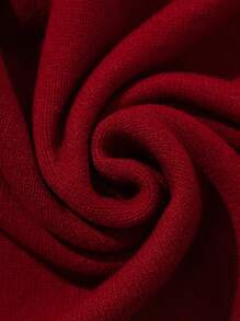 EMERY ROSE 2pcs/Set Women Solid Color Turtleneck Sweater And Pleated Skirt Sets, Casual For Autumn/Winter Fall Cloth For Women - Red - View 8