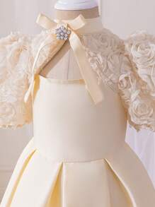 年轻女孩合身优雅镂空腰部 A 字形连衣裙，立领 - 杏色 - 查看 5