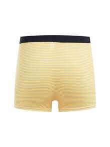 7pcs Milky Silk Striped Casual Waistband Underwear For Teenage Boys