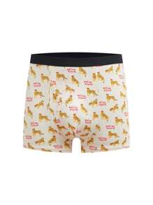 7 件装牛奶丝条纹休闲腰带，适合青少年男孩内裤 - 彩色 - 查看 18