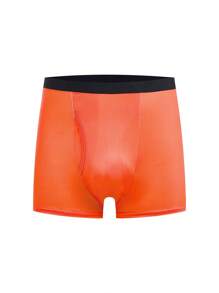 7 件装牛奶丝条纹休闲腰带，适合青少年男孩内裤 - 彩色 - 查看 14