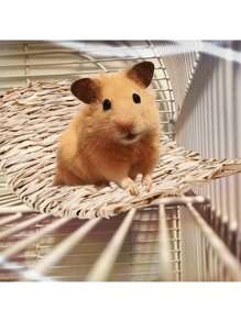 S/L Size Pet Chew Mat, A Must-Have For Small Pets At Home, Pet Cage Accessories, Suitable For Hamsters, Rabbits, Chinchillas, Guinea Pigs, Hamster Pet Products, Sturdy And Easy To Care For. - Apricot - View 3