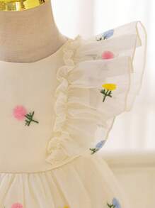 SHEIN Glamorique Kids 女婴四季刺绣装饰公主裙，盖袖收腰派对礼服，复活节 - 杏色 - 查看 8