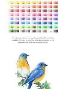 Set de lápices de colores a base de aceite para pintura, material de papelería y útiles escolares