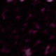 Mauve Purple