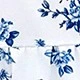 Bleu et Blanc