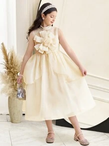SHEIN Tween-Mädchen Elegantes Organza-Kleid mit Blumenmuster, Stehkragen und doppellagigem Saum aus Jacquard - Aprikosenfarben - Übersicht 13